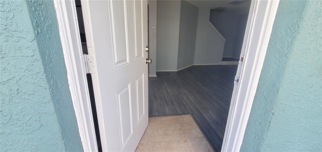A view through an open white door into a room with gray wood-look flooring — 1661 FLUORSHIRE DRIVE, BRANDON, FL