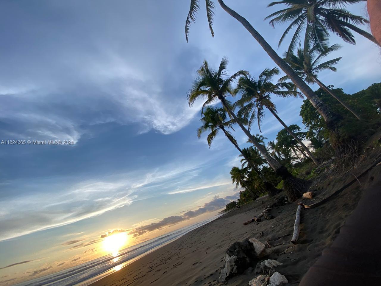 A sunset view over a dark sand beach with palm trees along the shoreline — 27 de Abril Playa Junquillal, IA 50303, IA
