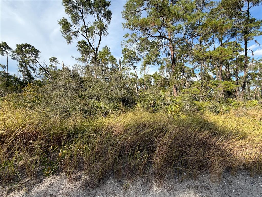 478 DARTER AVENUE, SEBRING, FL — photo 2 of 3