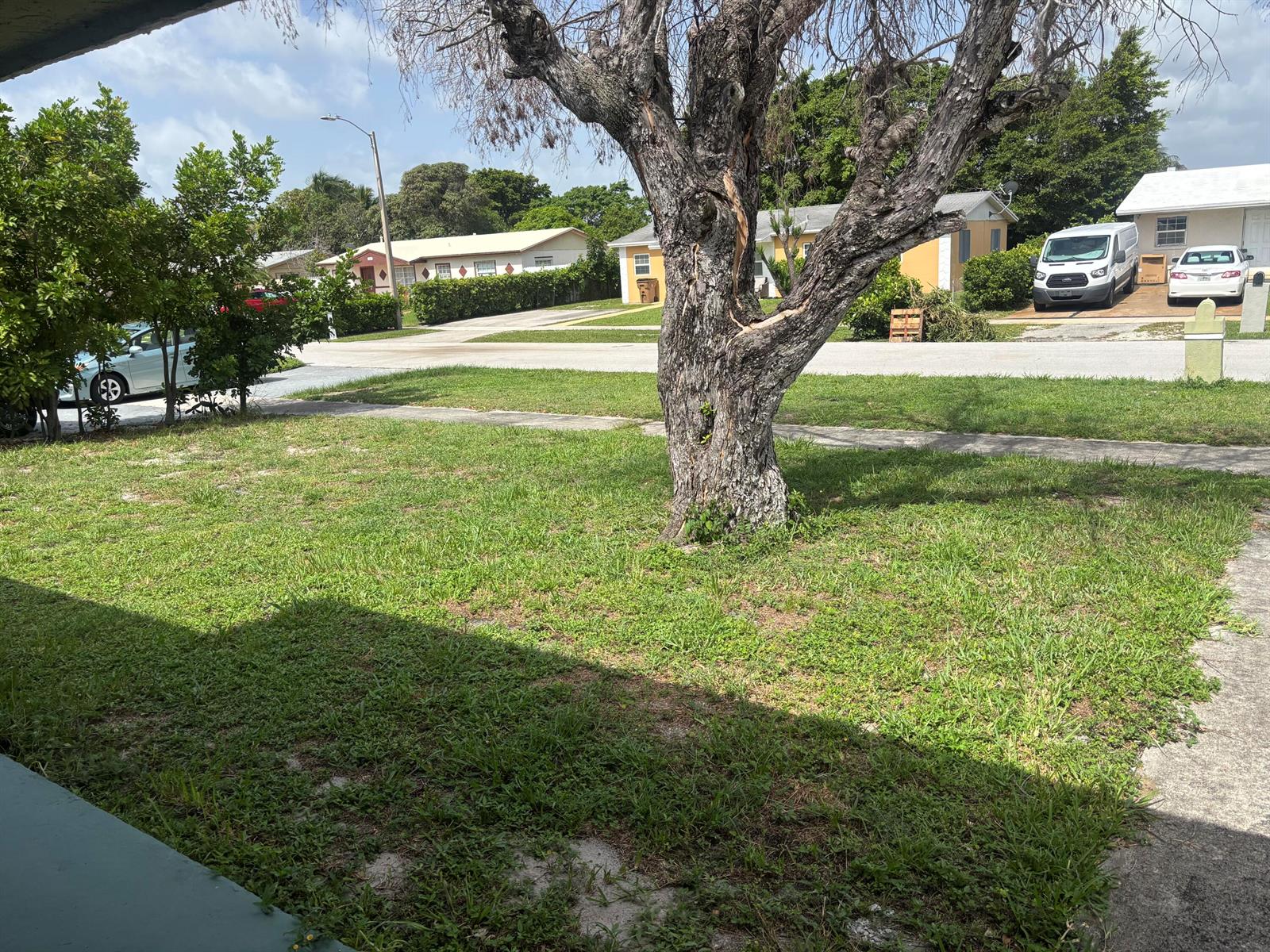 A large tree stands in the center of a grassy front yard near a street — 1250 SW 5TH Terrace, Deerfield Beach FL 33441, DEERFIELD BEACH, FL