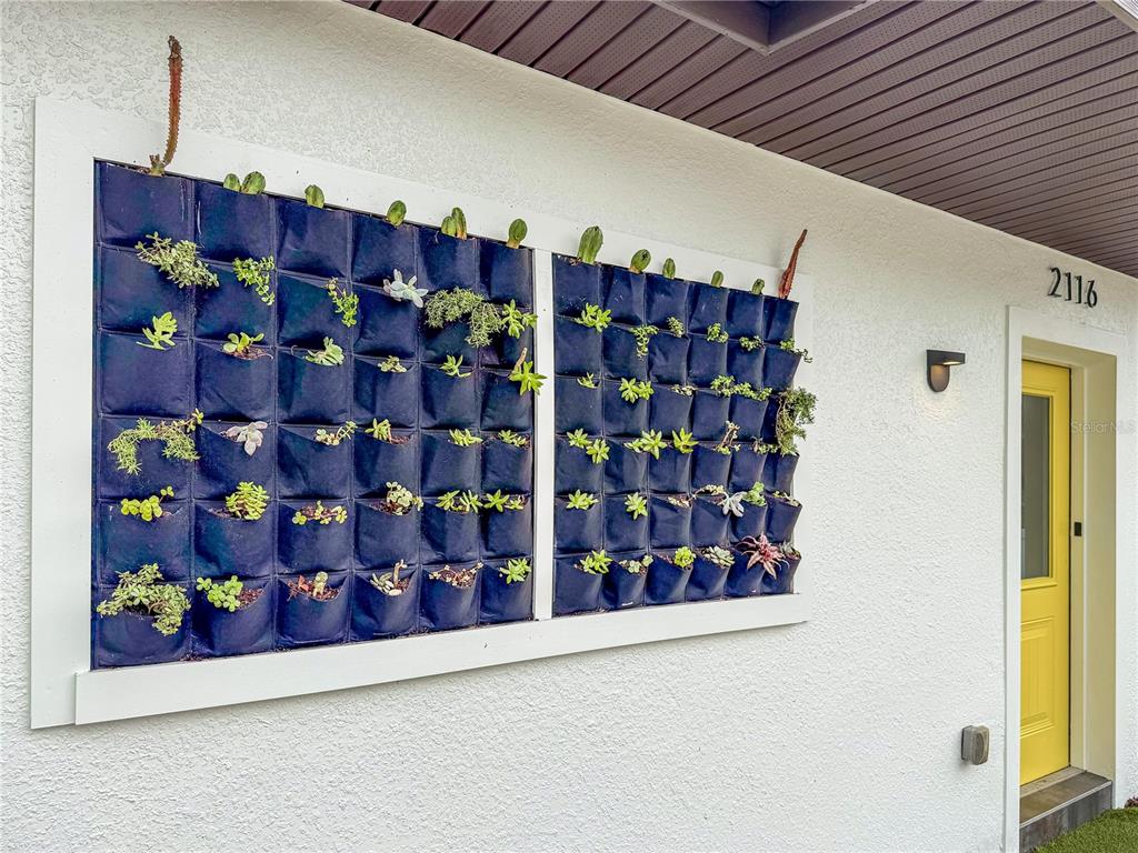 A vertical succulent garden is mounted on the exterior wall next to a yellow door — 2116 W STATE STREET, TAMPA, FL