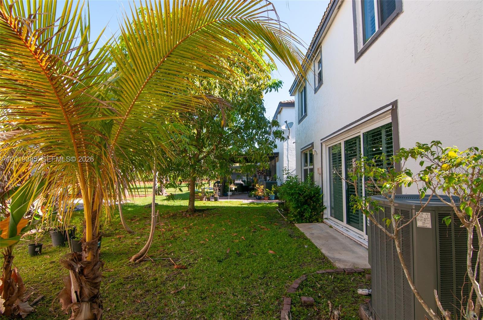 A grassy backyard features a palm tree, a central tree, and a white house exterior — 5124 SW 155th Ave, Miramar FL 33027, MIRAMAR, FL