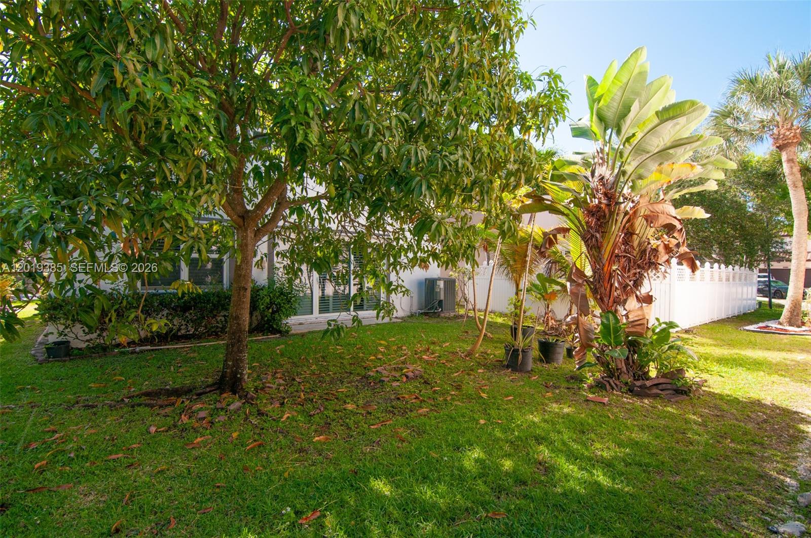 A grassy backyard features a large tree, a banana plant, and a white fence — 5124 SW 155th Ave, Miramar FL 33027, MIRAMAR, FL