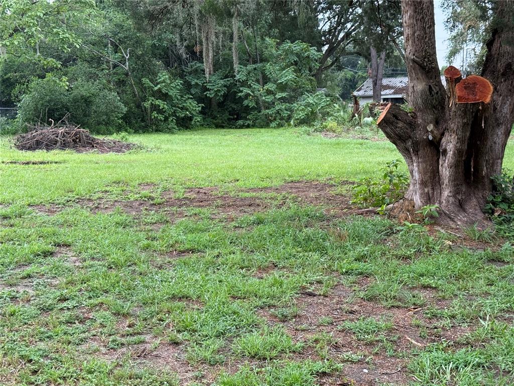 A large, grassy lot features a prominent tree with freshly cut branches and dense woods — 5427 SE 137TH LANE, SUMMERFIELD, FL
