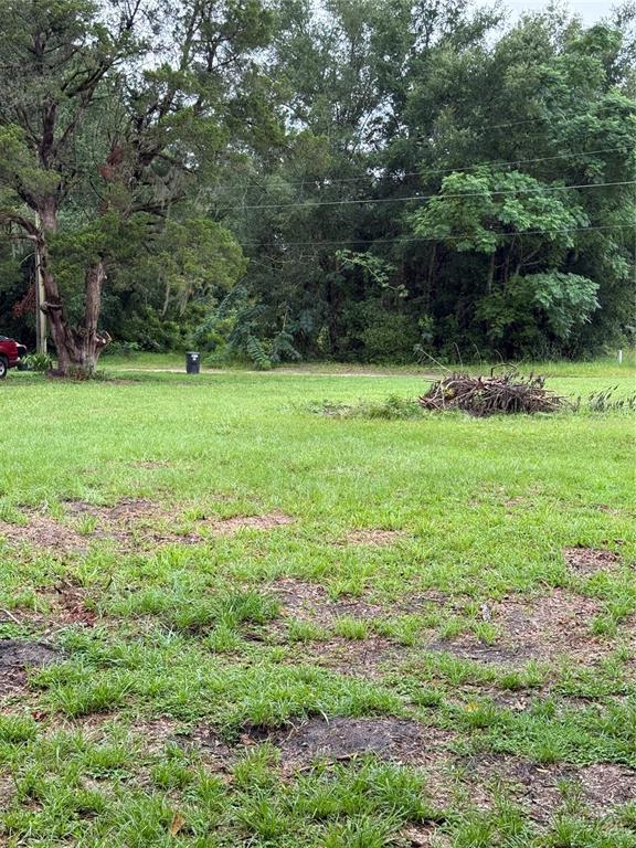 A grassy, partially cleared lot features a large tree and a pile of brush — 5427 SE 137TH LANE, SUMMERFIELD, FL