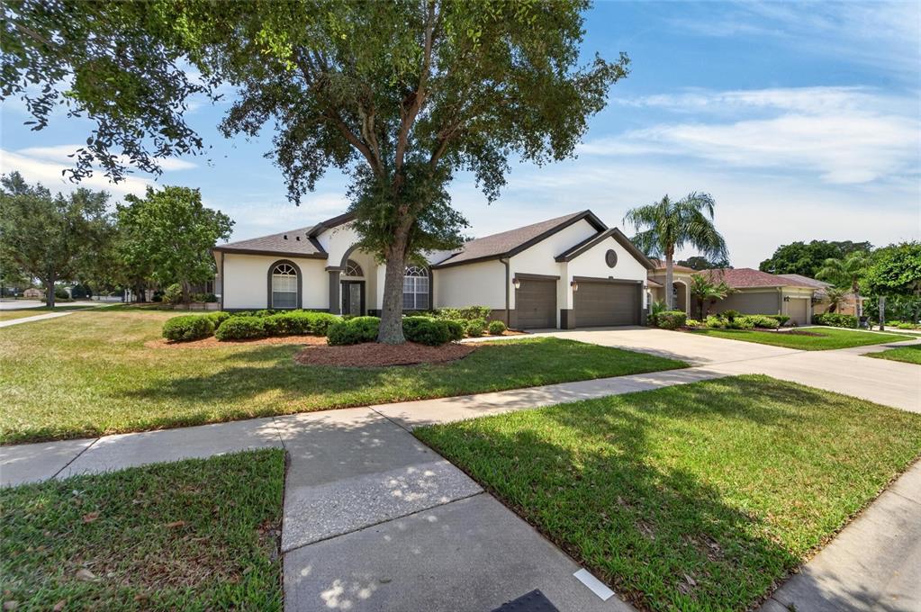 A single-story house with a beige exterior, a two-car garage, and a large front tree — 2309 SILVER TRUMPET COURT, VALRICO, FL