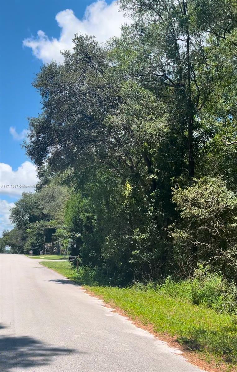 A paved road runs alongside a dense, wooded lot under a partly cloudy blue sky — 19835 SW 57 St, Ocala FL 34431, OCALA, FL