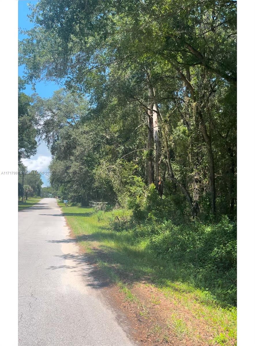 A paved road runs alongside a dense, wooded area with mature trees and green vegetation — 19835 SW 57 St, Ocala FL 34431, OCALA, FL