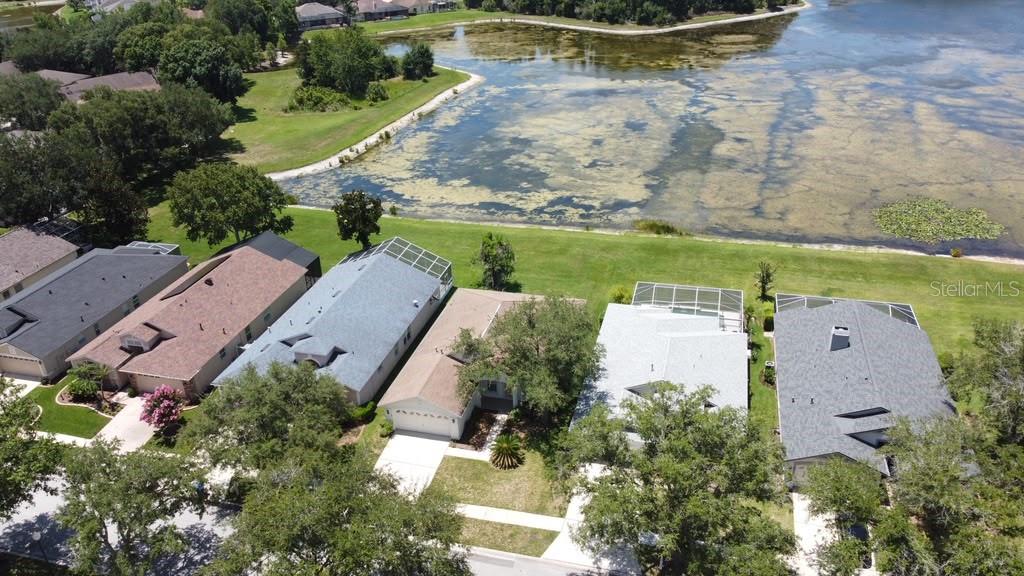 An aerial view shows a row of suburban houses situated along the edge of a lake — 18014 ARBOR CREST DRIVE, TAMPA, FL