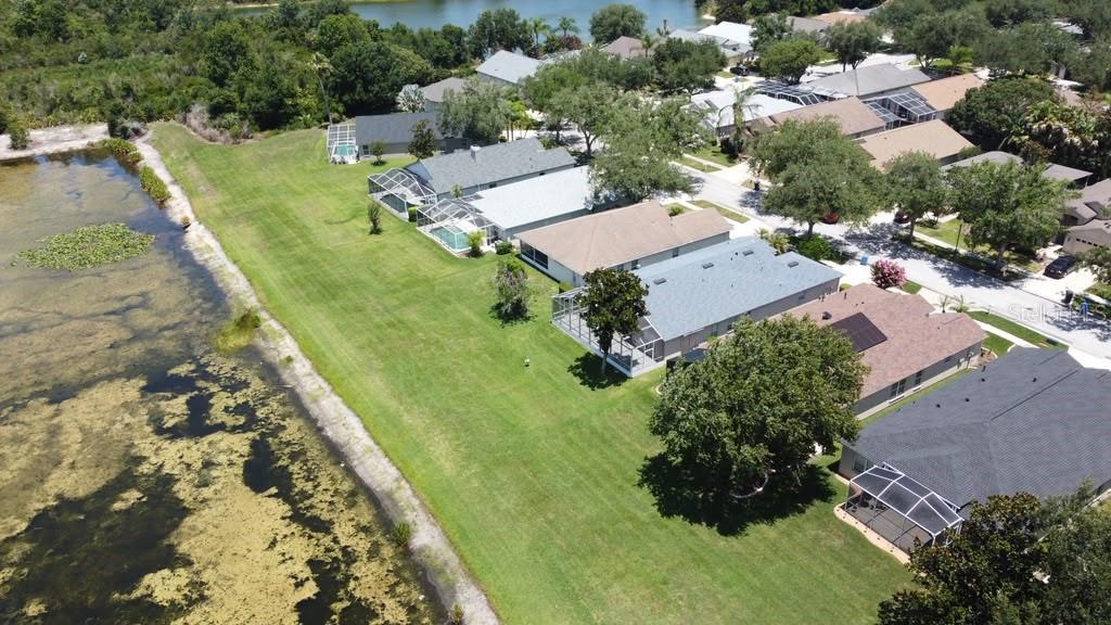 An aerial view shows several suburban houses with screened-in pools bordering a large lake — 18014 ARBOR CREST DRIVE, TAMPA, FL