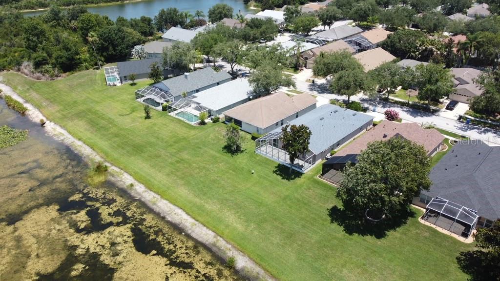 An aerial view shows several suburban houses with screened-in pools bordering a large lake — 18014 ARBOR CREST DRIVE, TAMPA, FL