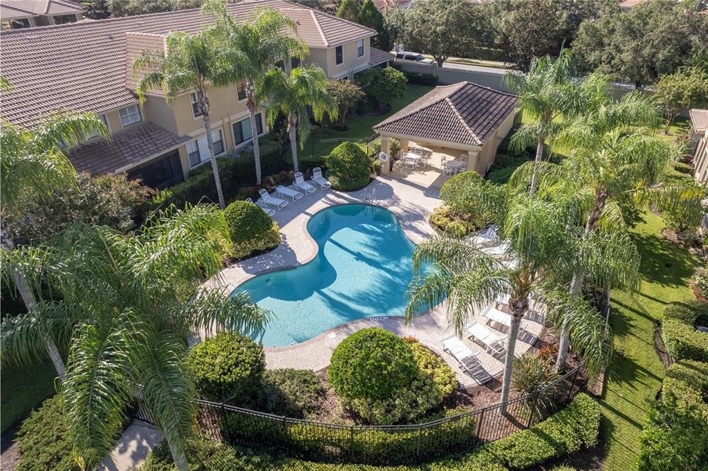 An aerial view of a community swimming pool with lounge chairs and a covered pavilion — 2527 SILVERBACK COURT, PALM HARBOR, FL