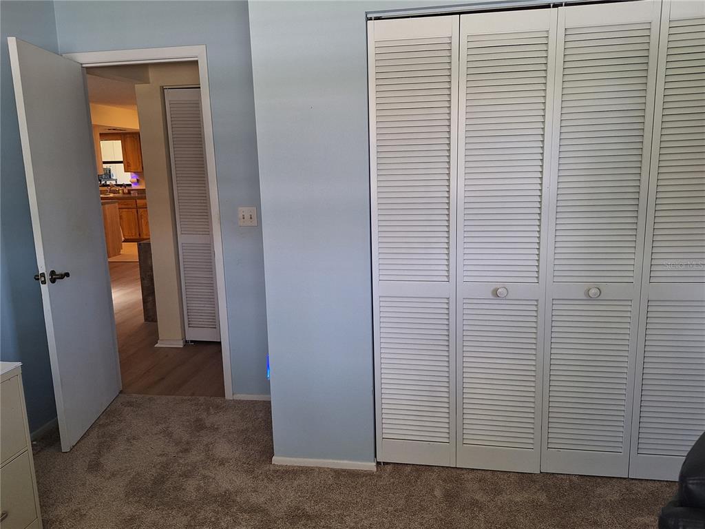 A bedroom features light blue walls, carpeted flooring, a closet with white louvered doors, and a doorway — 419 FALCON AVENUE, EDGEWATER, FL