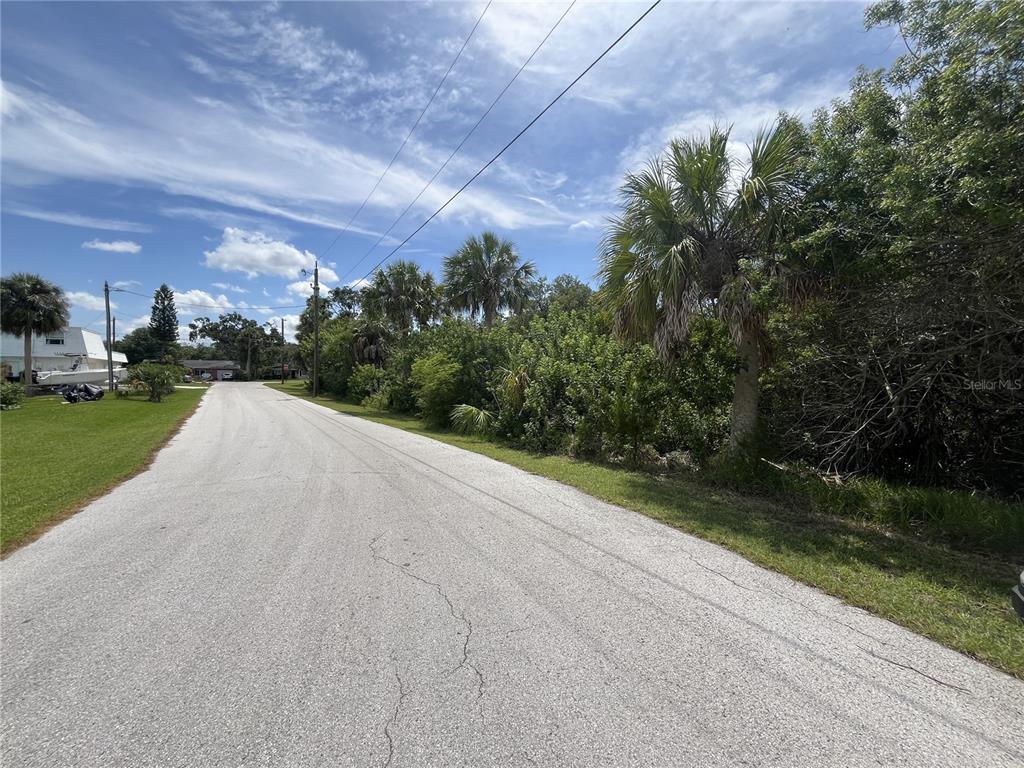 A paved road runs alongside a grassy area with palm trees and dense vegetation — BETTY STREET, PORT RICHEY, FL