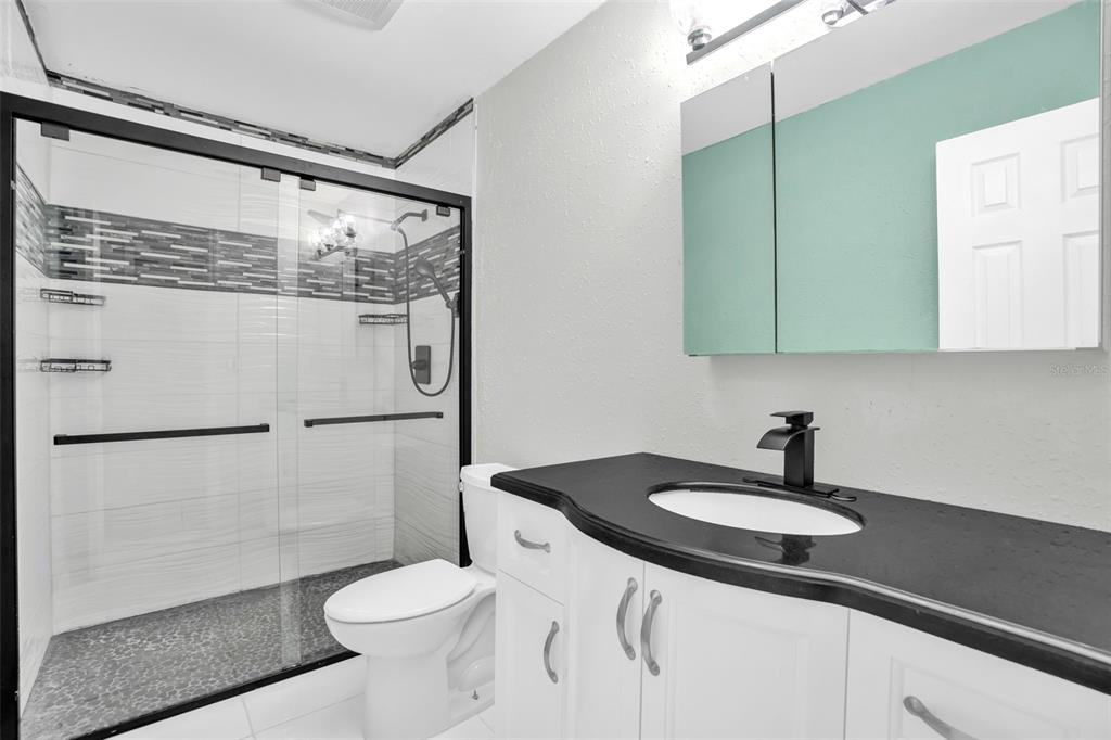 A bathroom features a glass-enclosed shower, a white vanity with a black countertop, and a toilet — 108 KILKENNY COURT, LONGWOOD, FL