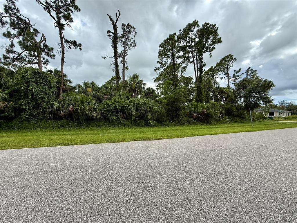 A vacant, wooded residential lot sits behind a paved road under a cloudy sky — NORDENDALE BLVD, NORTH PORT, FL