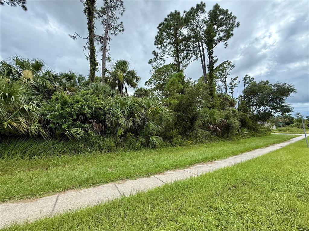 A sidewalk runs alongside a dense, overgrown lot filled with palm trees and tall pines — NORDENDALE BLVD, NORTH PORT, FL