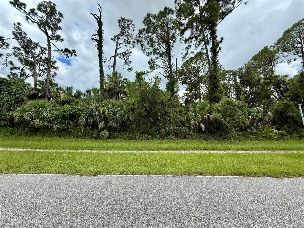 A view of a vacant, heavily wooded lot from the street — NORDENDALE BLVD, NORTH PORT, FL