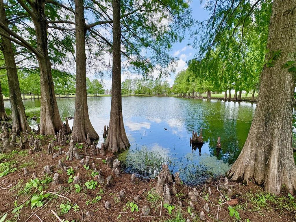 A pond surrounded by bald cypress trees with visible cypress knees along the grassy bank — 2813 ROLLING BROAK DRIVE, ORLANDO, FL