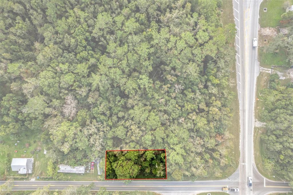 An aerial view shows a rectangular wooded lot outlined in red beside a paved road — 00 FORT DADE AVENUE, BROOKSVILLE, FL