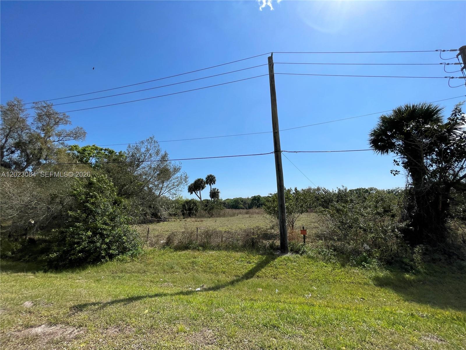 A utility pole stands in a grassy field bordered by trees and a wire fence — 2358 E SR 70, Okeechobee FL 34972, OKEECHOBEE, FL