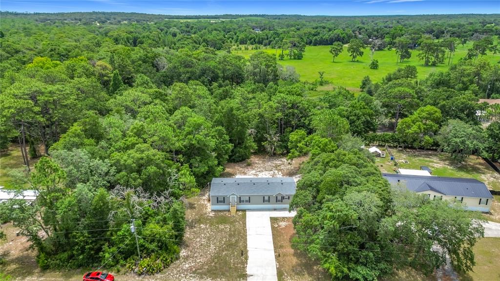 An aerial view shows a single-story house with a concrete driveway surrounded by dense trees — 6498 W ROSEDALE DRIVE, HOMOSASSA, FL