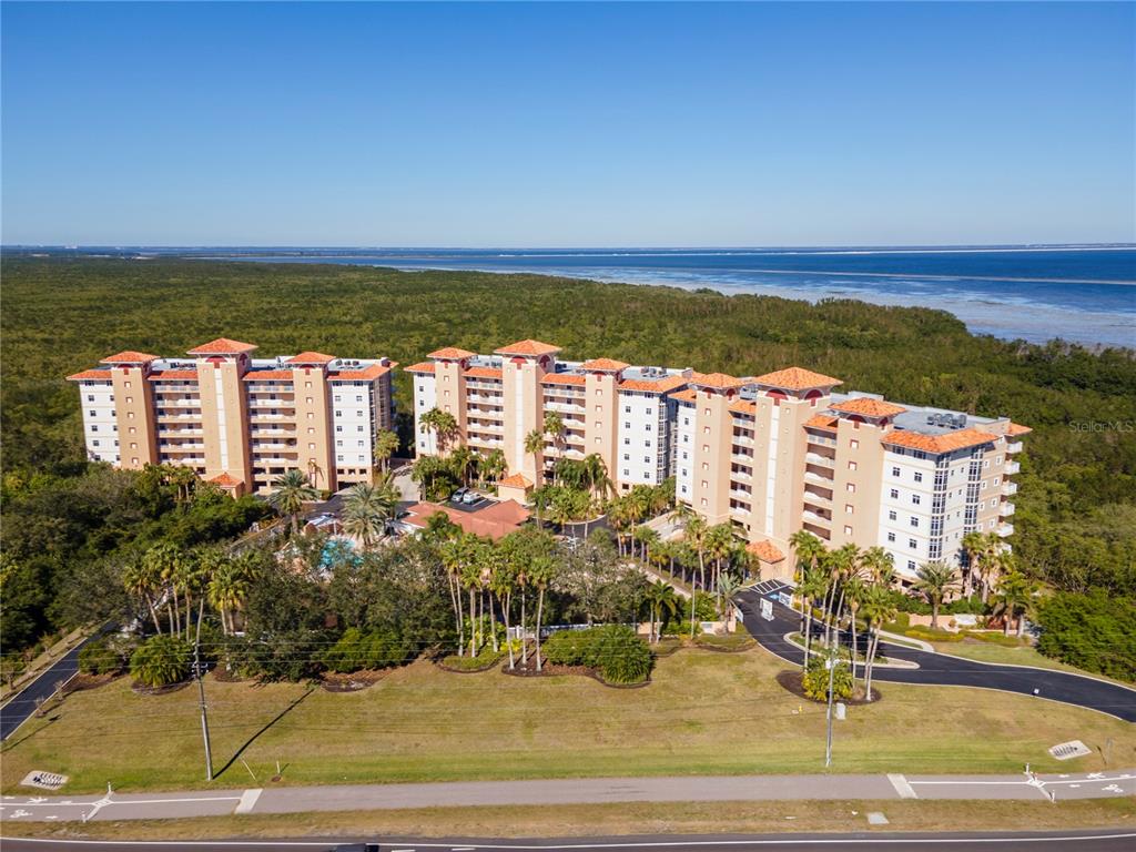 12077 GANDY BOULEVARD N UNIT 374