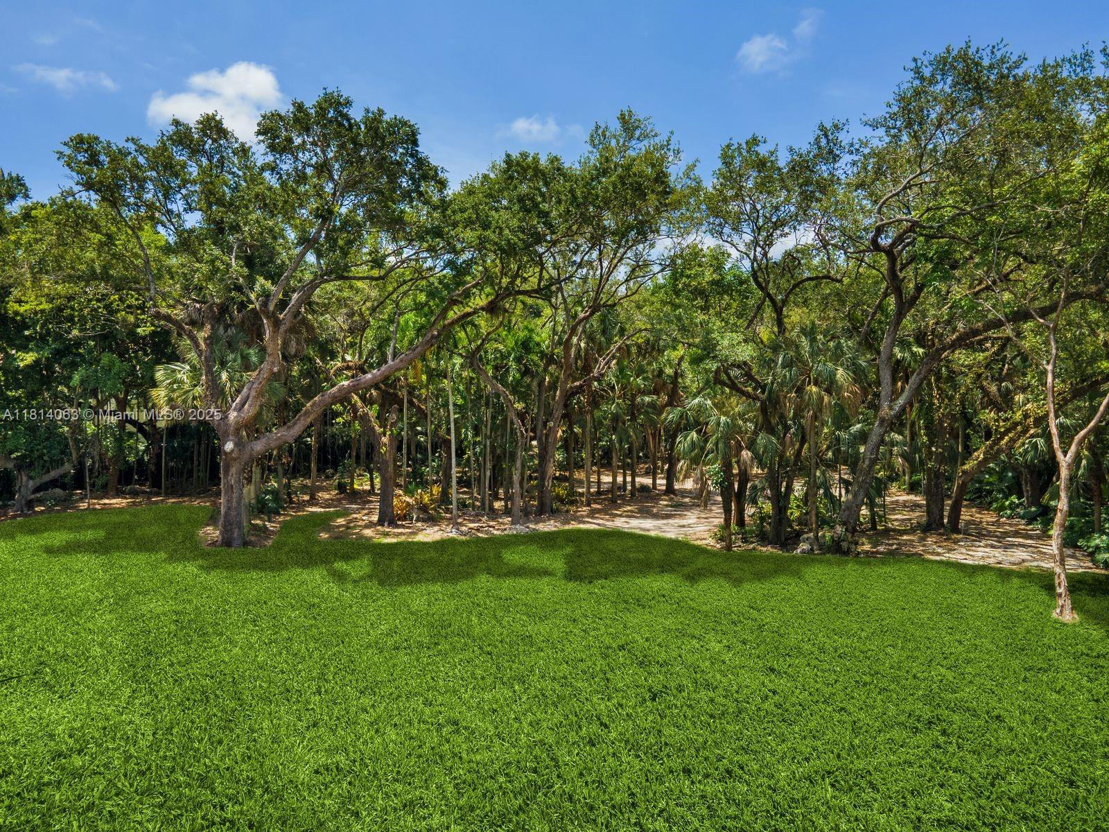 A large, manicured green lawn sits in front of a dense, wooded forest area — 5355 Hammock Dr, Coral Gables FL 33156, CORAL GABLES, FL