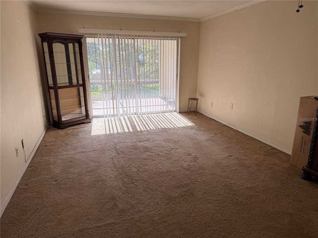 An empty living room features beige carpeting, a sliding glass door, and a wooden cabinet — 10335 CARROLLWOOD LANE UNIT 116, TAMPA, FL