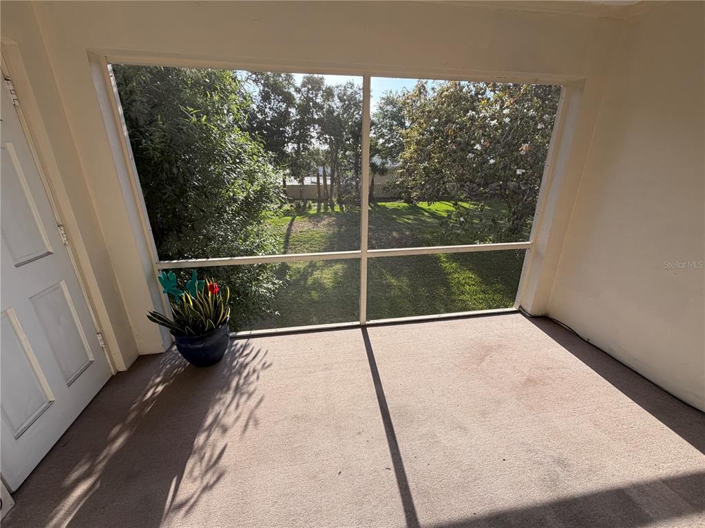 A carpeted screened-in porch overlooks a grassy backyard with trees — 10335 CARROLLWOOD LANE UNIT 116, TAMPA, FL