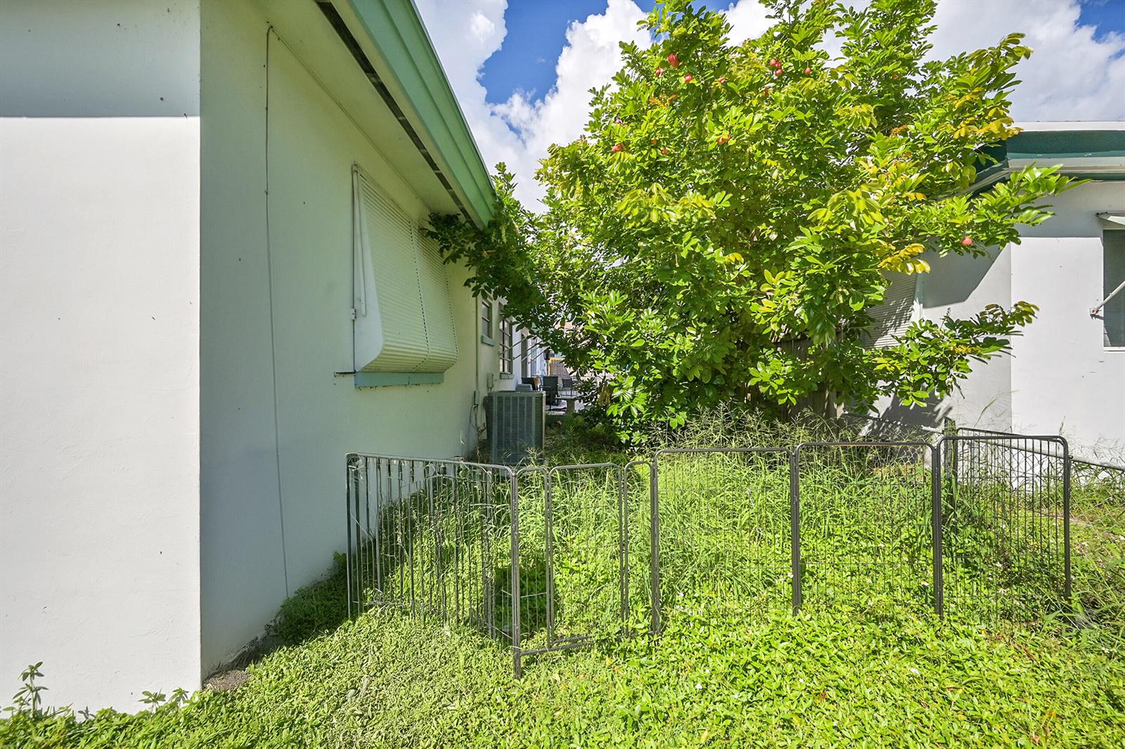 A side yard features a small metal fence, overgrown grass, and a large fruit tree — 721 N A Street, FL 33460, FL