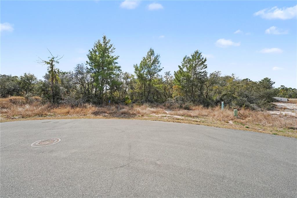A paved cul-de-sac borders a vacant, wooded lot under a blue sky — 1204 WAVERLY PLACE, POINCIANA, FL