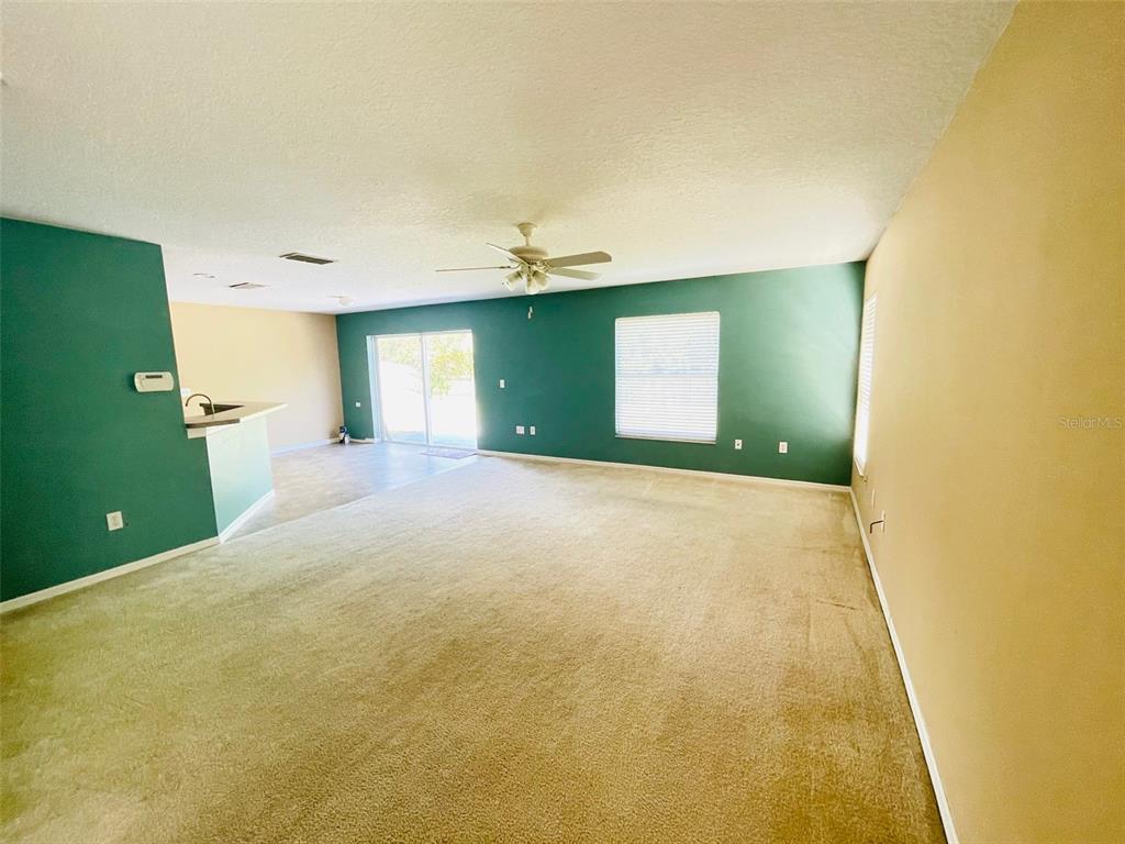 A living room features beige carpeting, green accent walls, a ceiling fan, and sliding doors — 155 OWENSHIRE CIRCLE, KISSIMMEE, FL