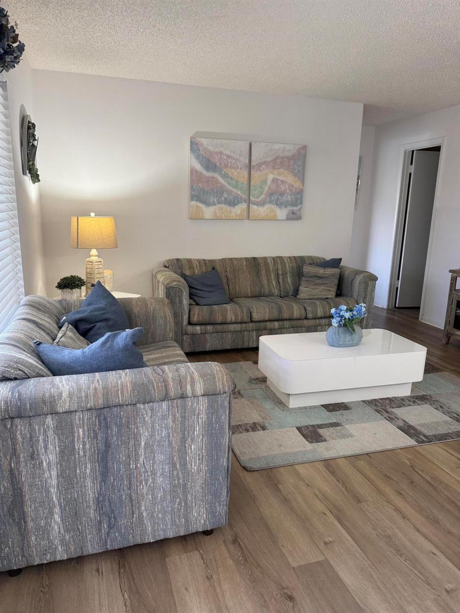 A living room features two patterned sofas, a white coffee table, and wood-look flooring — 133 Lake Pine Circle # 2, FL 33463, FL