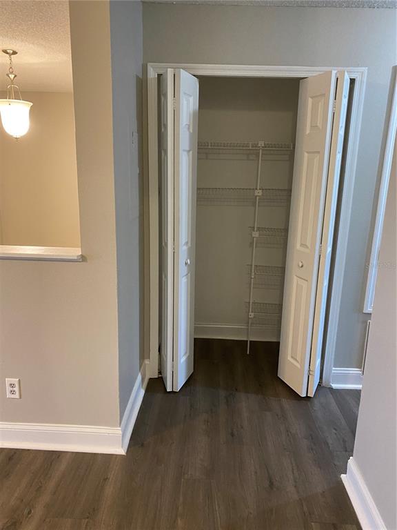 A closet with wire shelving stands in a room with wood-look flooring and gray walls — 4252 PERSHING POINT UNIT 4, ORLANDO, FL