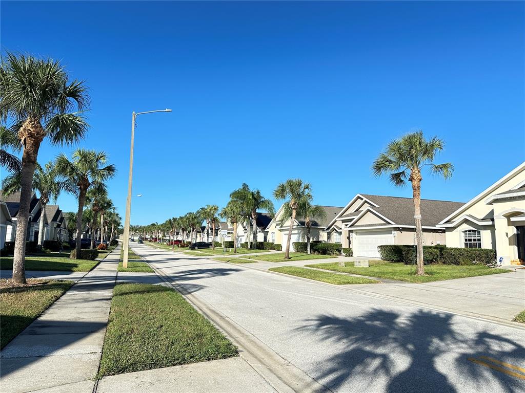A residential street lined with palm trees and single-story houses under a clear blue sky — 16724 ROLLING GREEN DRIVE, CLERMONT, FL