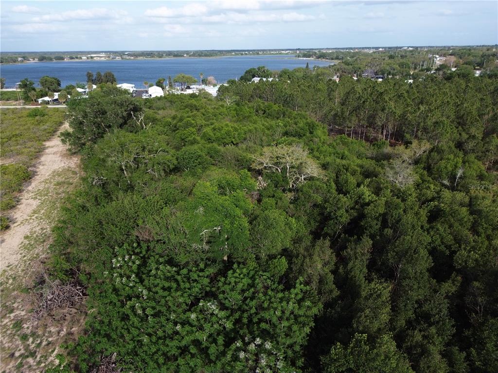 An aerial view shows a dense, wooded lot bordering a large body of water — 3055 SR-17 N, SEBRING, FL