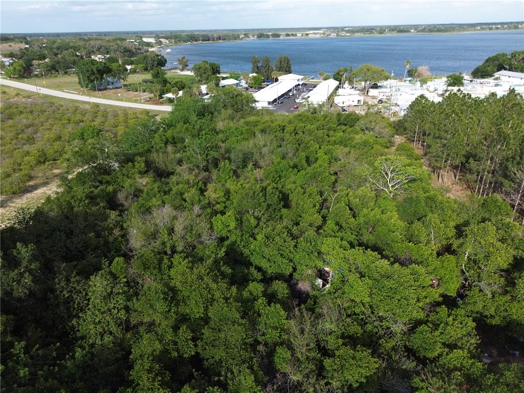 An aerial view shows a dense, wooded lot situated near a lake and residential buildings — 3055 SR-17 N, SEBRING, FL