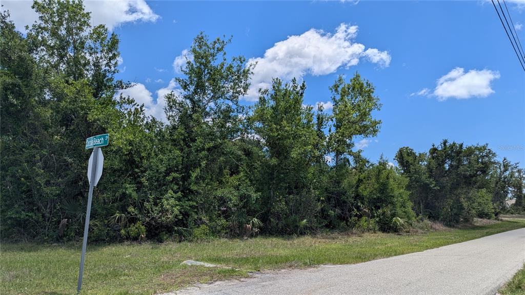 A street sign stands in front of a densely wooded, undeveloped lot beside a road — 10017 COCOA BEACH STREET, PORT CHARLOTTE, FL