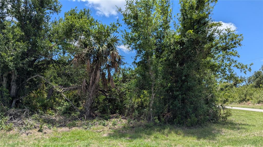 A grassy lot features a dense cluster of trees and a palm tree under blue skies — 10017 COCOA BEACH STREET, PORT CHARLOTTE, FL