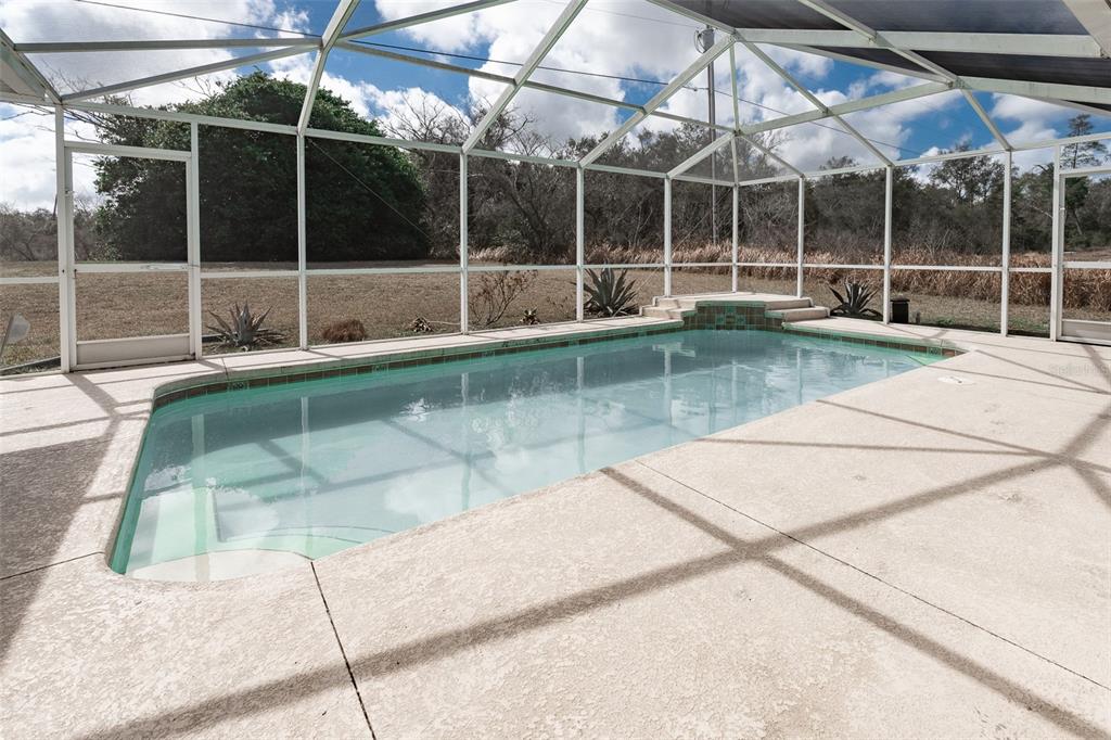 A screened-in swimming pool with a concrete deck sits in a backyard with natural landscaping — 3948 SW 157TH PLACE ROAD, OCALA, FL