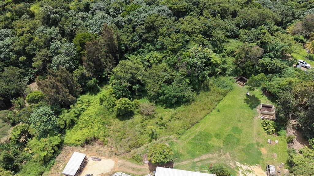 An aerial view shows a grassy lot bordered by dense forest with two small concrete structures — CAMINO VITORIANO, LARES, PR