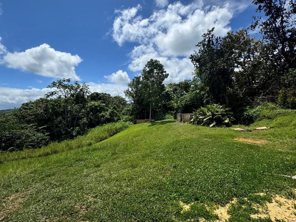 A grassy, sloped lot features scattered trees and a small concrete structure in the background — CAMINO VITORIANO, LARES, PR