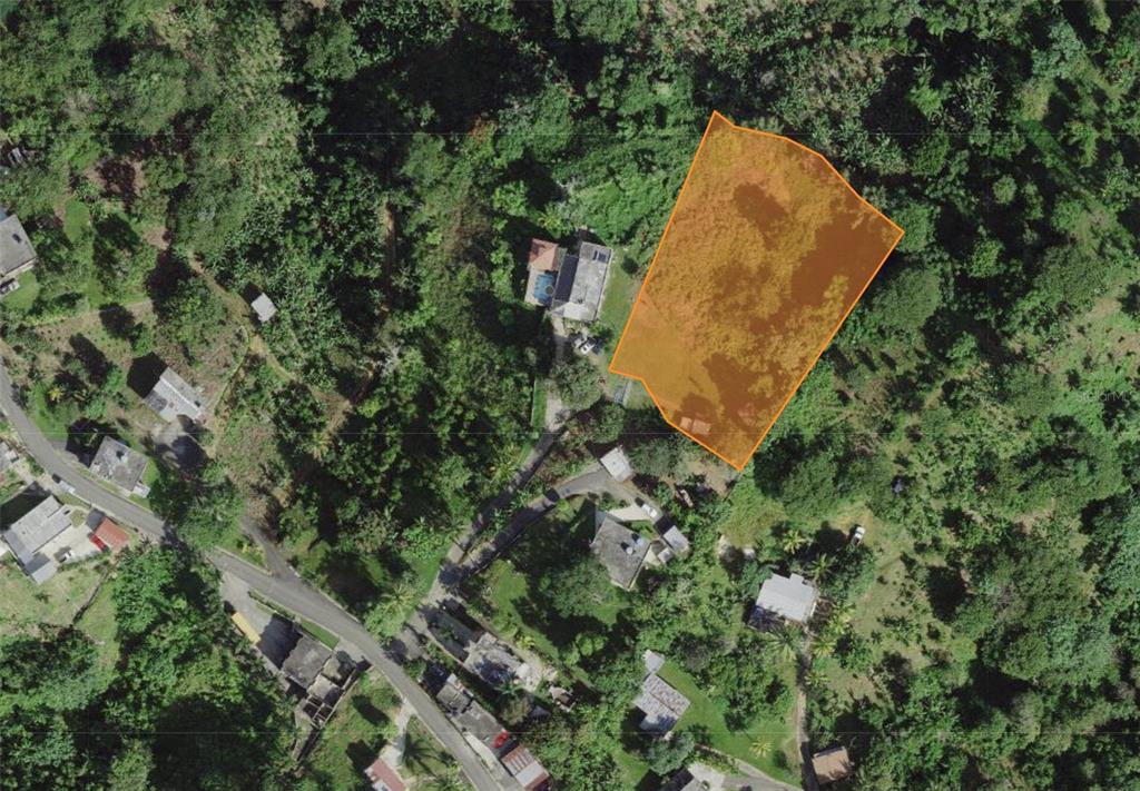 An aerial view shows a plot of land highlighted in orange within a wooded area — CAMINO VITORIANO, LARES, PR