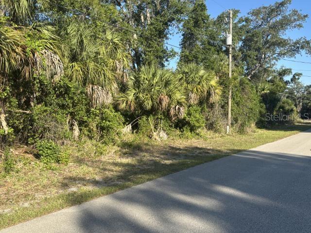 A paved road runs alongside a wooded lot with dense vegetation and a utility pole — ABATE AVENUE, NORTH PORT, FL