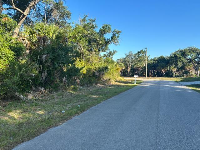 A paved road runs alongside a wooded lot with dense vegetation and a single mailbox — ABATE AVENUE, NORTH PORT, FL