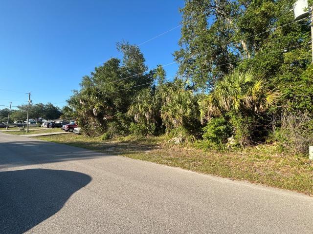 A paved road runs alongside a vacant, wooded lot with palm trees and dense vegetation — ABATE AVENUE, NORTH PORT, FL
