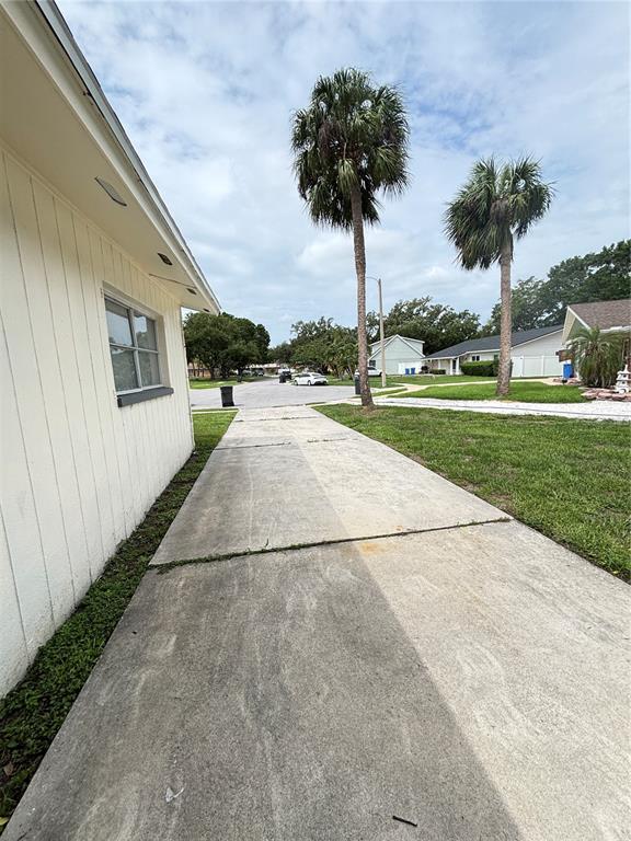 A concrete driveway runs alongside the exterior wall of a white house with two palm trees — 8302 N FLINTROCK COURT, TAMPA, FL