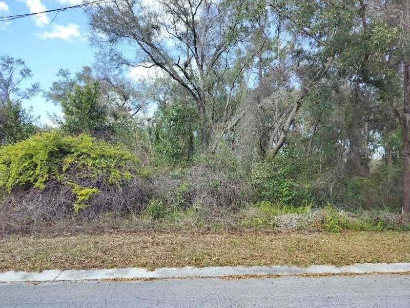 204 ADELPHI STREET, INVERNESS, FL — photo 2 of 9