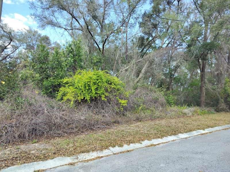 204 ADELPHI STREET, INVERNESS, FL — photo 4 of 9